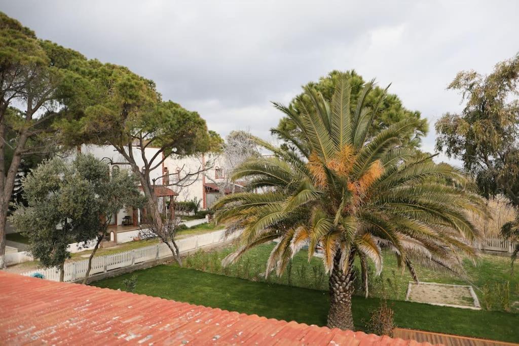 BalikliovaYfn Urla Seaside House别墅 外观 照片