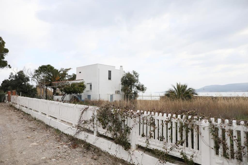 BalikliovaYfn Urla Seaside House别墅 外观 照片
